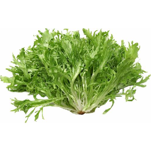 Escarola